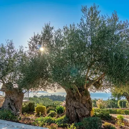 Fiscardo Luxury Stone Suzana ,with Sunset View! Vila Fiskardo