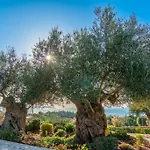 Fiscardo Luxury Stone Suzana ,with Sunset View! Villa Fiskardo